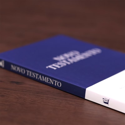 image_e9b704aa-e1e5-4ada-a2c8-fbeb7cb90e4f