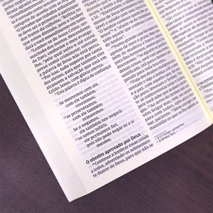 Novo Testamento | NVI | Leitura Perfeita | Clássica Capa Brochura
