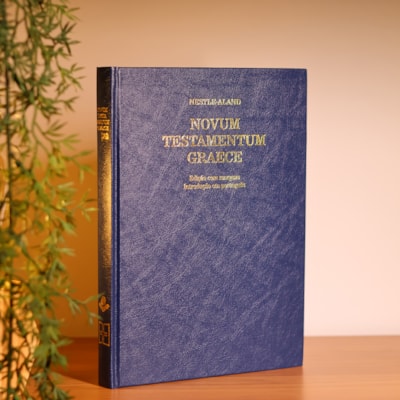 image_98d511cd-6b45-42aa-a8d0-06153ed33f88