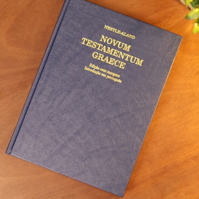 image_05a21010-978d-4e0c-9056-3e282a39f732