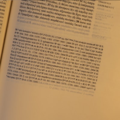 image_17ae75ed-e689-484a-9cee-6b6f66ac9164