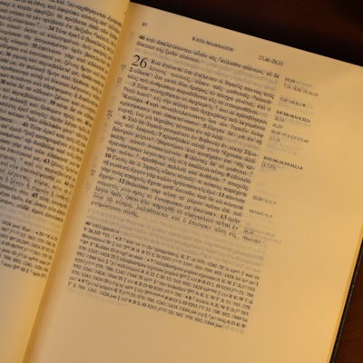 image_077a659b-bd10-4d2e-b2db-0928a08555a8