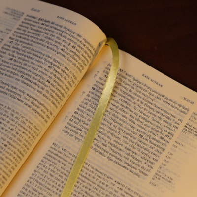 image_c7da1fad-99f0-4f79-9f61-7c9691677762