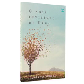 O Agir Invisível de Deus | Luciano Subirá