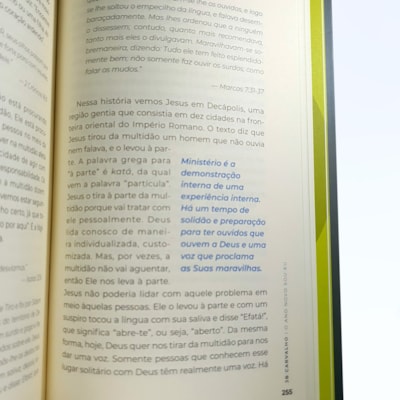 image_a477ca23-ca3c-425b-8ebc-cbb3016dd5dc