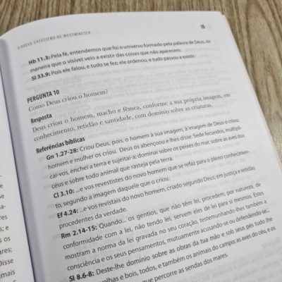 image_28299b8c-b80c-4ce3-9a88-4d5d3c9d98fc