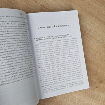 image_ba61b7ed-63f2-42e5-b229-882f025786e0