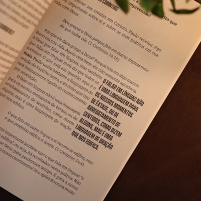 image_2e528d88-ee4f-41ef-a7c6-c9b3f3f3c13f