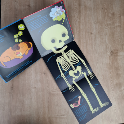 image_d5a222a3-0f6e-409f-bd5f-9ae4e41d5f68