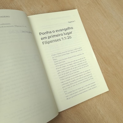 image_5bc7b00b-cbe8-4778-8347-c114e744c375