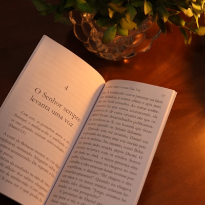 image_1775cdfe-c4f9-4144-a228-57a9cd70400a