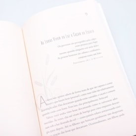 Segunda imagem do produto O Despertar da Leoa | Lisa Bevere