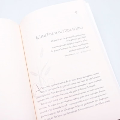 image_135de03a-0cdd-4413-8768-87495e10aa88