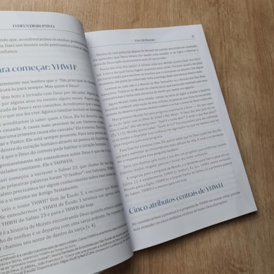 image_e1435953-67f5-4764-be3d-3b8db8023ddd