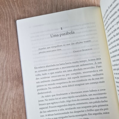 image_89ecaa1a-f978-45c7-b26d-1c4b55d09d3b