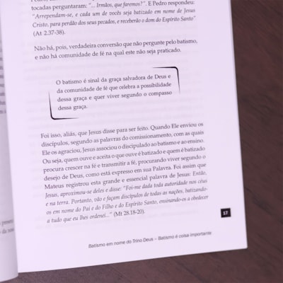 image_317c529c-0cb8-4256-83b4-c532ad5a0440