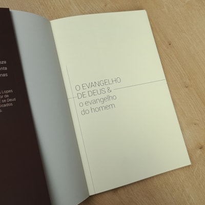 image_ee90b896-818e-4dd1-afbc-cba3e414b9d5