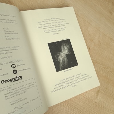 image_a43032ab-2f97-482d-9c25-1f2009c4085c