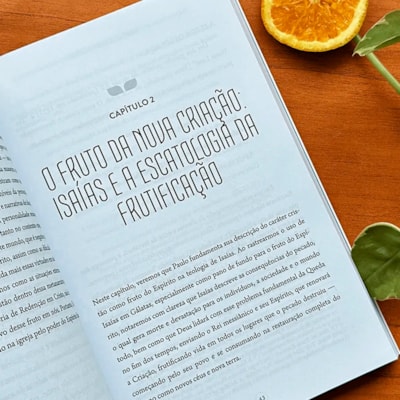 image_84840a98-29e5-4af3-8246-b0bf542a6130