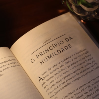 image_0d24c0bf-4df1-4f6f-895f-c305922a80cf