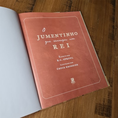 image_570b1f28-d1f7-4a37-91cd-54568745434a