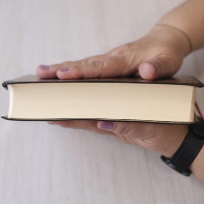 image_989cea8c-318d-47d4-bfc9-c2e532f30cf2