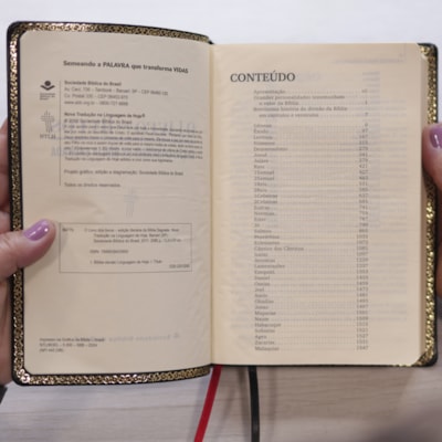 image_a6d88cd4-ee1f-4223-830a-fdaa5f7c42b4