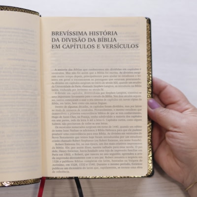 image_c45cfa42-c3e8-419c-8964-0ea247b62591