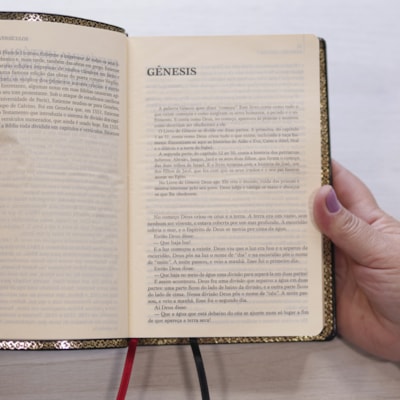 image_695ee9fb-c572-41ea-8e15-5b82b474782e