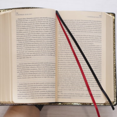 image_47760d02-9afa-445d-83fb-7b8aaa0902ee