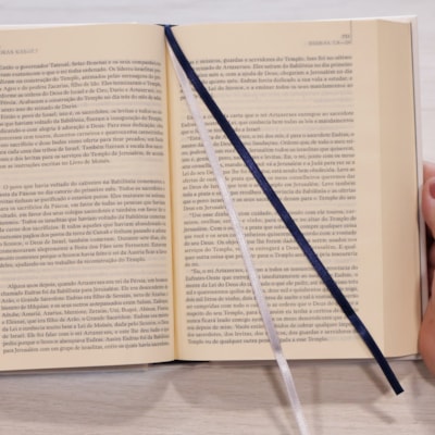 image_2aee45f8-ae8e-4fdf-a51c-d9d529749941