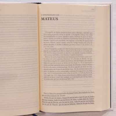 image_2141f30f-f7d2-4d14-b11f-39929f65e335