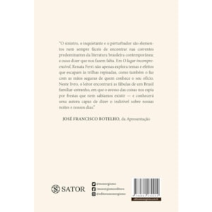 Segunda imagem do produto O Lugar Incompreensível | Renata Ferri