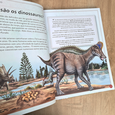 image_13f1afe7-0d8c-4c9e-b870-945e4efb411a