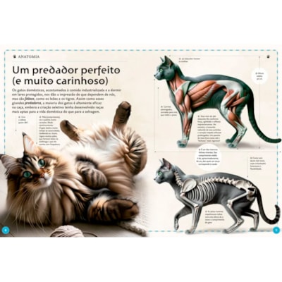 image_bff24e8f-ff74-4eda-8af7-9a800f553161