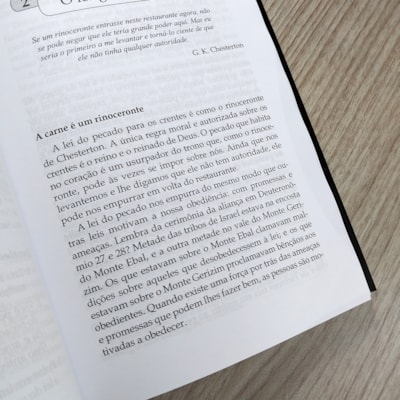 image_65ffb5ed-8ec2-462e-959c-d3fffb157552