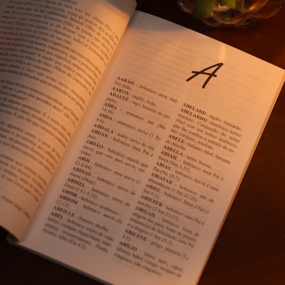 image_33864e2a-884a-41d0-8189-6b4f32bd9dbc