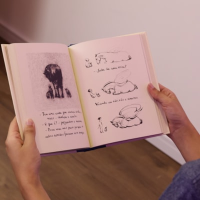 image_2332732b-5b9b-4752-9ebd-4d43da246d9c