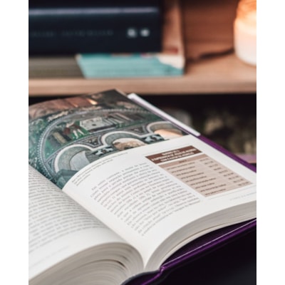 image_10ce00b2-b299-4c42-8f2a-30c2ff6999fe