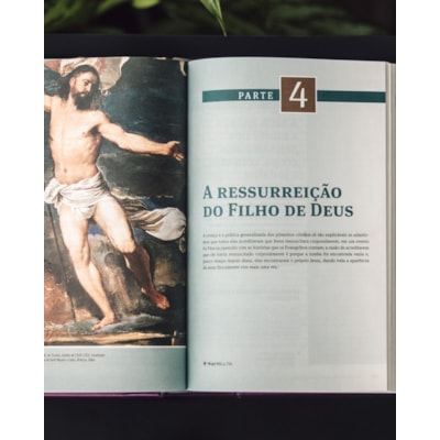 image_81e85f55-1afe-4a07-8892-46adc78b4b0b