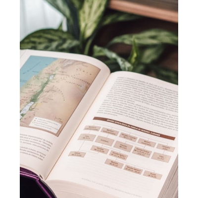 image_5ef02577-ee95-4b2d-baef-de065a62cebf