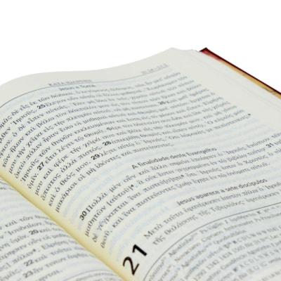 image_4af28f2a-de7a-4d33-8b8d-99aac318938c