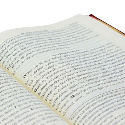 image_e61600df-b2c8-4f9b-93f2-ba9ed48eb737