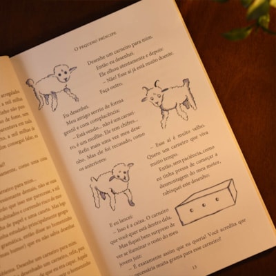 image_503ca53b-dab1-40f3-8eb4-aa97ac637217