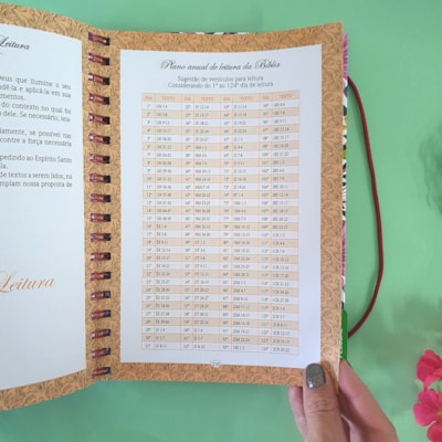 image_a8e11adb-e550-4db4-8b68-f2d3cf0b08ab