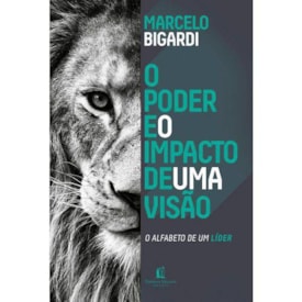 O Poder e o Impacto de uma Visão | Marcelo Bigardi