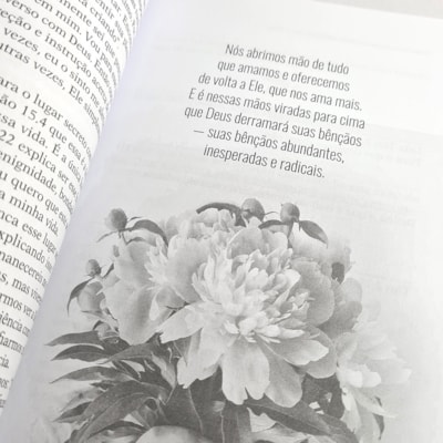 image_aede371b-842a-4bb4-b61b-b8d3741cf0c7