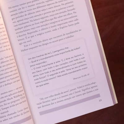 image_b4a4d189-5ea8-4041-ada9-7e04bd987d66