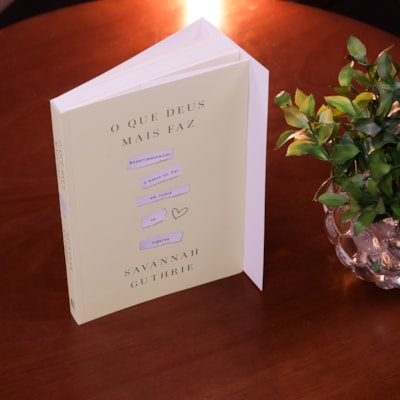 image_d71d4fe8-2e8f-4225-99fc-16f5727b2487