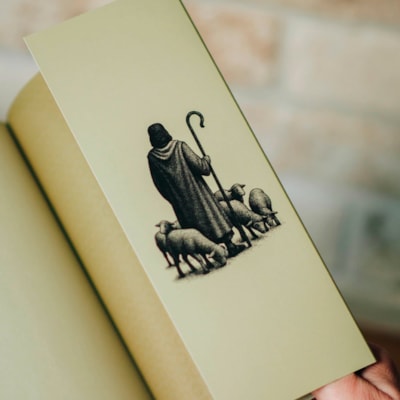 image_1f80eac8-754c-4a18-a77d-9b9af26653db